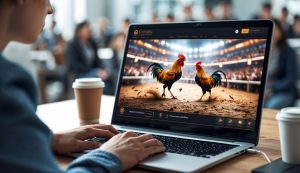Sabung Ayam Online Interaktif Dengan Arena Live Setiap Hari Untuk Hiburan Seru di Rumah
